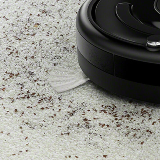 iRobot