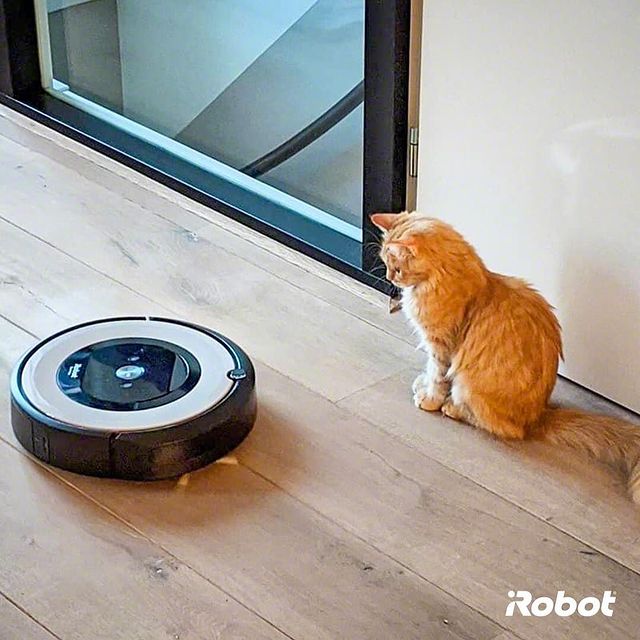 “Bi robot süpürge gördüm sanki.” 🤖😻
 
#Roomba976 #iRobot #RobotSüpürge
