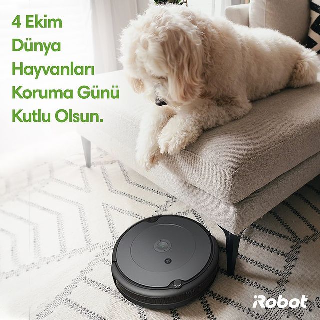 Bugün evimizdeki sevimli dostlarımızın günü. 4 Ekim Dünya Hayvanları Koruma Günü kutlu olsun.

#4EkimDünyaHayvanlarıKorumaGünüKutluOlsun #4EkimDünyaHayvanlarıKorumaGünü #DünyaHayvanlarıKorumaGünü