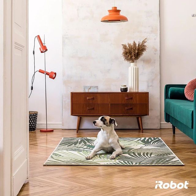 Temizliğe son bakış… 💚🤖

#iRobot #Roomba #RoombaRobotSüpürge #AkıllıRobotSüpürge  #BraavaRobotPaspas #AkıllıRobotPaspas #VaktinizSizeKalsın